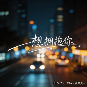 想拥抱你（抒情版权）