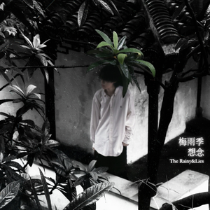 梅雨季想念The Rainy&Lies