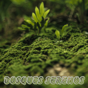 Apogeo