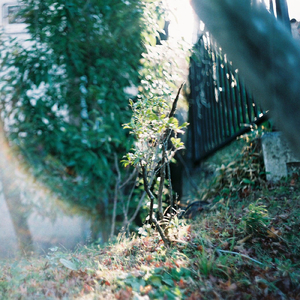 想うということ (feat. she_mills_lying_rings)