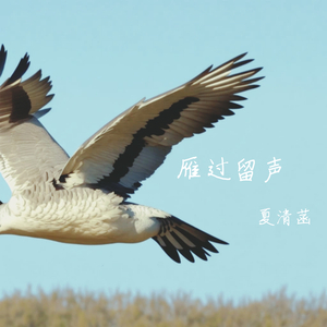 雁过留声