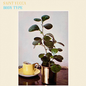 Body Type