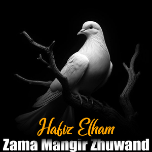 Zama Mangir Zhuwand
