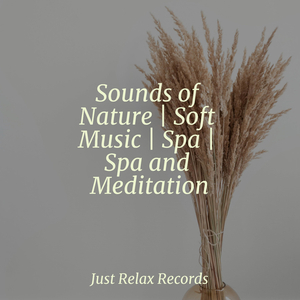 Enigmatic Nocturnal Illusion