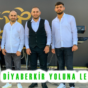Diyarbekir Yoluna Le (2022 (Düğün Kaydı))