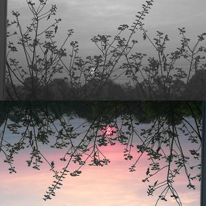 Confusion（混乱）