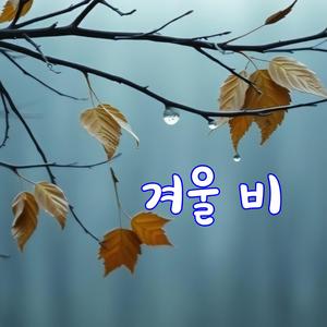 겨울 비