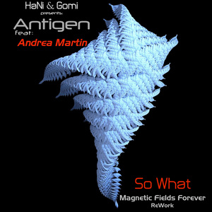 So What (Magnetic Fields Forever Rework)