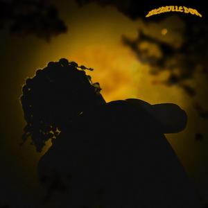 médaille d'or (feat. Parlecashplzz)