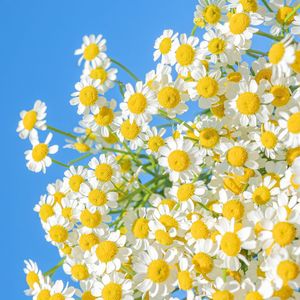 忘记伤痕和过去 就能得到幸福吗