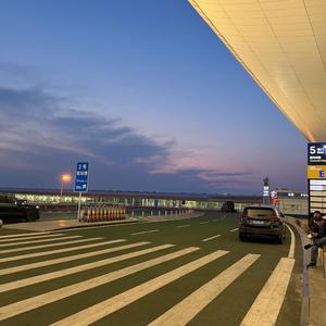 我的喜欢很直白