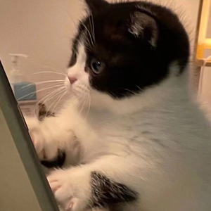 失恋阵线联盟live(朱星杰/胡宇桐/王靖雯