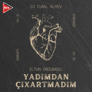 Yadımdan Çıxartmadım (Remix)