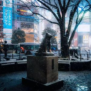 [FREE]“下雨夜”BOBBYNOPEACE Type Beat