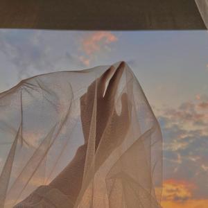 理想三旬（翻自 陈鸿宇）