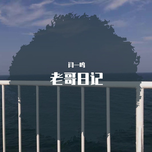 老哥日记