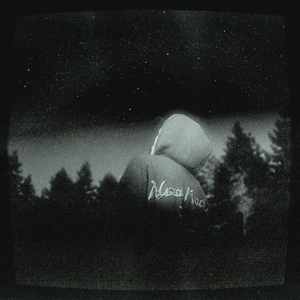 MTV (feat. Missu & Nineteen95)