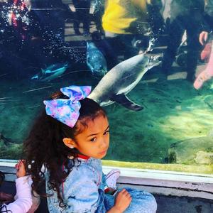 希望开心不请自来