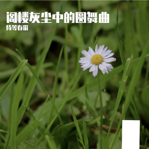 历史是面哈哈镜