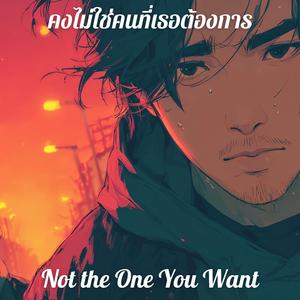 คงไม่ใช่คนที่เธอต้องการ (Not the One You Want)