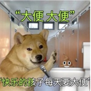 快乐便便歌