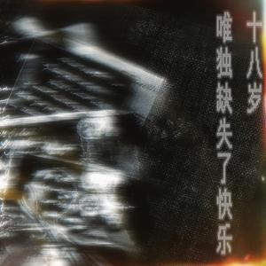 十八岁唯独缺失了快乐