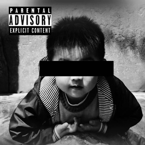 Pig's large intestine