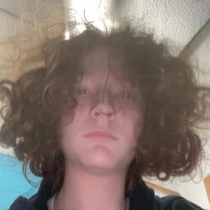 Frankenstain Madness