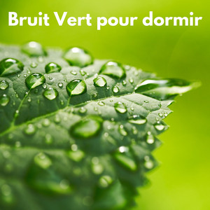 Bruit Vert Bébé (Bouclable)