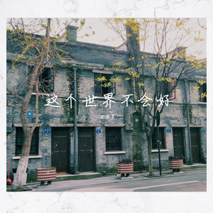 这个世界不会好
