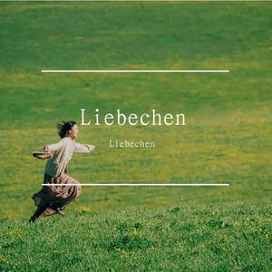 你是黎明的微光-整曲