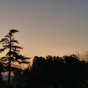 最后一节英语课