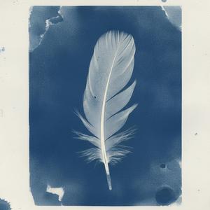 Feather
