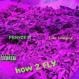 How 2 Fly (feat. Lil Wayne)