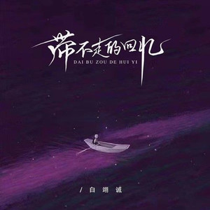 带不走的回忆