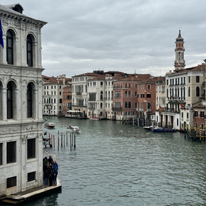 安静的意大利狗