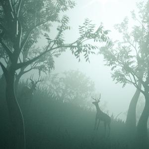 Fawn Dance（Original Mix）