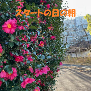 スタートの日の朝