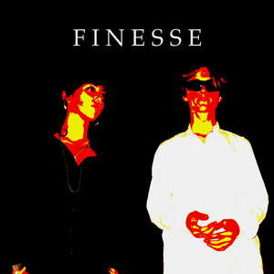 FINESSE