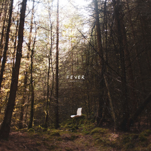 Fever (Acoustic Version)