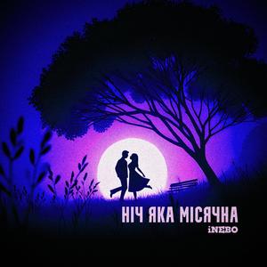 Ніч яка місячна