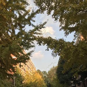 像风一样 (Cover: 单依纯)