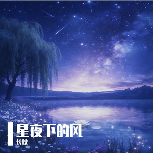 星夜下的风