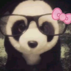 Hey Boy