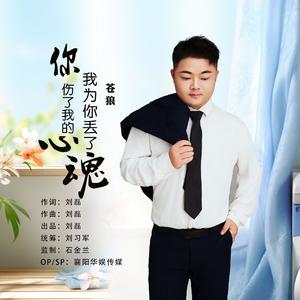 你伤了我的心我为你丢了魂（DJ默涵版）