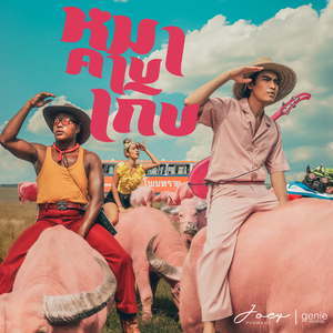 หมาคาบเกิบ