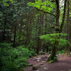 毛爷爷著作 (好听纯音乐)