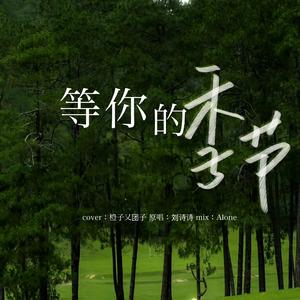 等你的季节 （cover：刘诗诗）