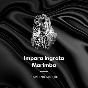 Sol la brama di vendetta, Aria from Faramondo Marimba Edition