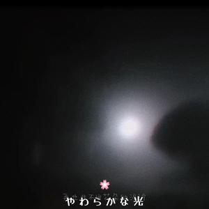 やまだ豊-再也生不出花朵的泥泞（张含 remix）